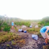 Dagny Johnson Key Largo Hammock Botanical State Park gallery