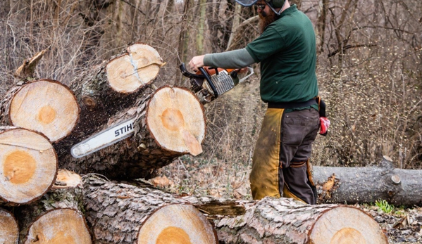 G E Tree Service Inc - Petersburg, IN