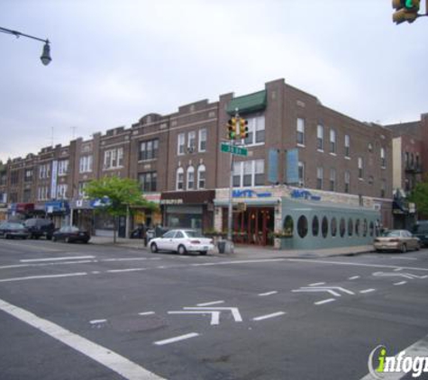 The Shady Lady - Astoria, NY