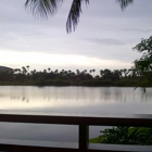 Bahama Breeze