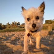 Gallery Image Number 8