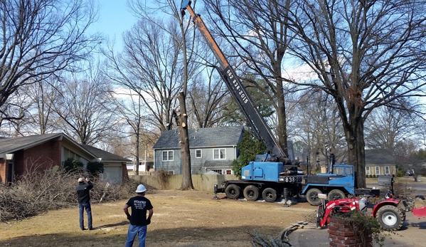 Chuck Holloway's Tree Care LLC - Drummonds, TN