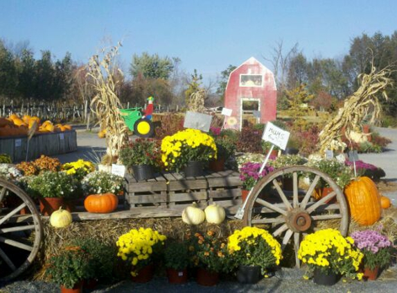 Manza Family Farm - Montgomery, NY