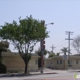 Budget Inn Motel