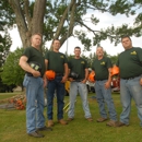 Alpine Tree Services Inc - Stump Removal & Grinding
