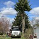 HTS Tree Care - Tree Service