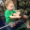 Gander Mountain gallery