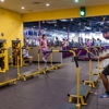 Planet Fitness gallery