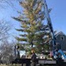 Outdoor Inspiration Tree Service - Tree Service