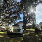 Sacred Tree Service
