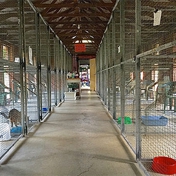 Gallery Image Number 2