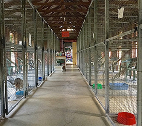 Glenhaven Boarding Cattery - Glenhaven, NSW