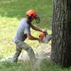 Suffern Tree Service, Inc