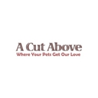 A Cut Above