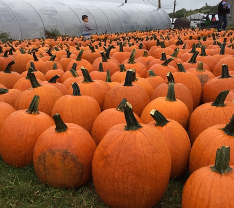 Stuart's Fruit Farm - Granite Springs, NY