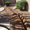 Brewer's Irrigation - Lawn Maintenance