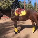 Cimarron Hill Ranch - Horse Boarding