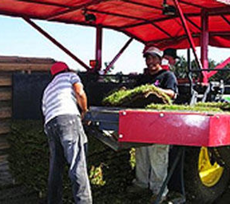 Driskell Turf Farm - Grand Bay, AL