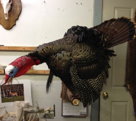 Brownsburg Taxidermy - Brownsburg, IN