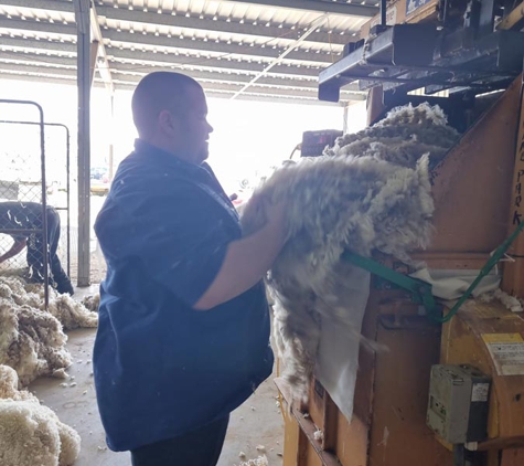 Muddy's Quality Shearing - Dubbo, NSW