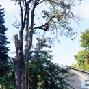 Heights Tree Service - Tree Service