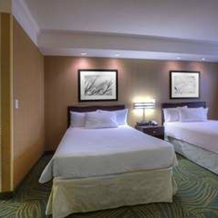 SpringHill Suites Tampa Brandon - Tampa, FL