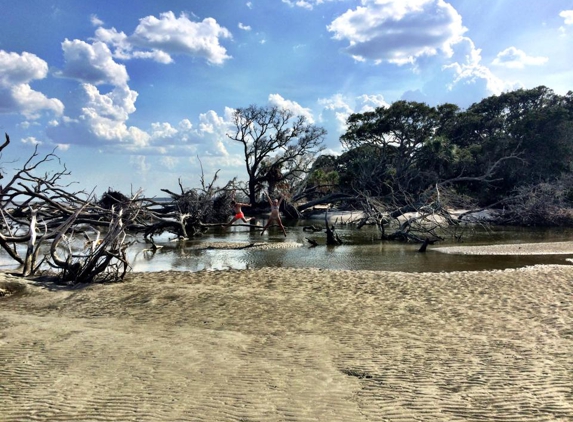 Fort McAllister Marina - Richmond Hill, GA