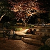 Arborscapes Lawn Care gallery