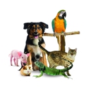 Animal Health Care Center - Pet Services