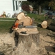 Artisan Arborist Tree Care