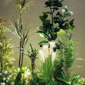 Gallery Image Number 1