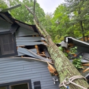 Whits End Tree Care - Tree Service