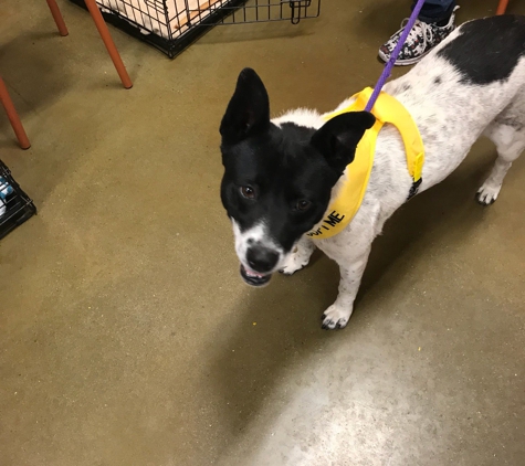 PetSmart - Tucson, AZ