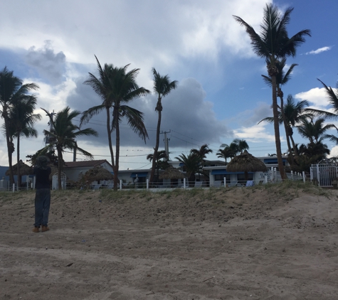 Steve's Tree Service & Removal - Riviera Beach, FL