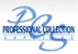 Professional Collection Services Logo
