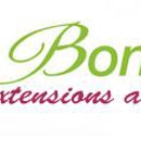 Bonitas Extensions and Braids - Hair Braiding