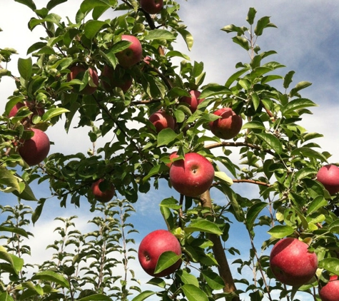 Bowman Orchards - Rexford, NY