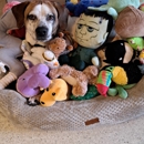 Center Animal Clinic PLLC - Pet Services