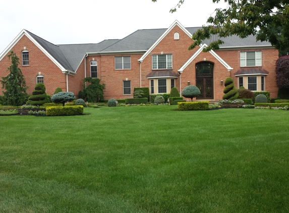 AAG LAWNMAN. Green and Healthy Lawn