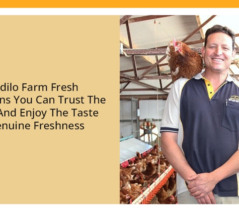 Llandilo Farm Fresh Eggs - Llandilo, NSW. Llandilo Farm Fresh Eggs Means You Can Trust The Source And Enjoy The Taste Of Genuine Freshness