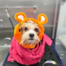 Kontota Grooming of Little Elm - Pet Grooming