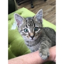 Roxy Ann Veterinary Hospital - Veterinarians