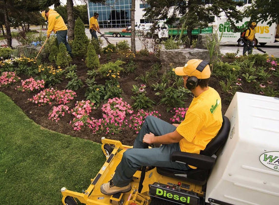 The Grounds Guys of Longmont