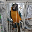 Canary World Exotic Bird Farm - Bird Feeders & Houses