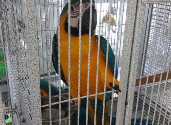 Canary World Exotic Bird Farm - Norwalk, CA