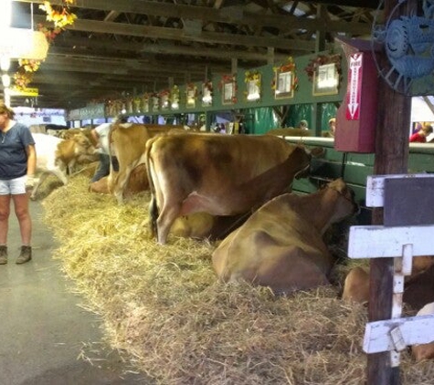 Washington County Fair - Greenwich, NY