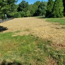 Villatoros Lawn Care and Landscape - Lawn Maintenance