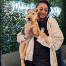 Meadowlake Pet Resort - Pet Services