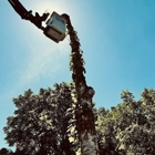 B&E Tree Service