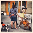 Hound About Town-Hamilton - Pet Stores